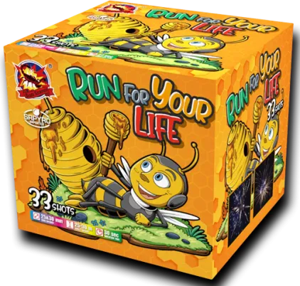 Run For Your Life