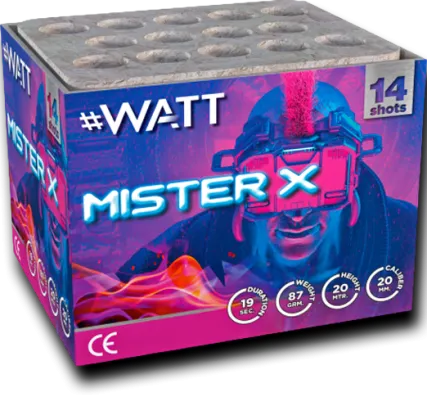 Mister X