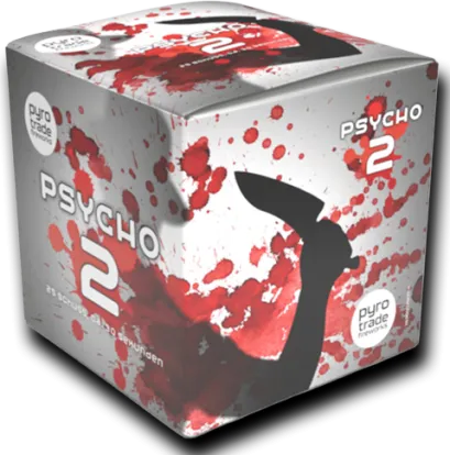 Psycho 2