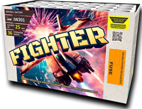 Fighter