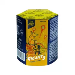 Gigant-5