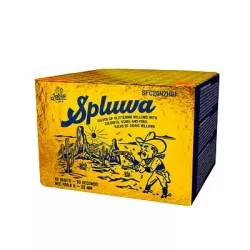 Spluwa
