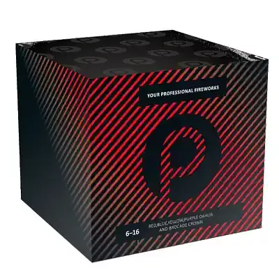 red-blue-yellow-purple-dahlia